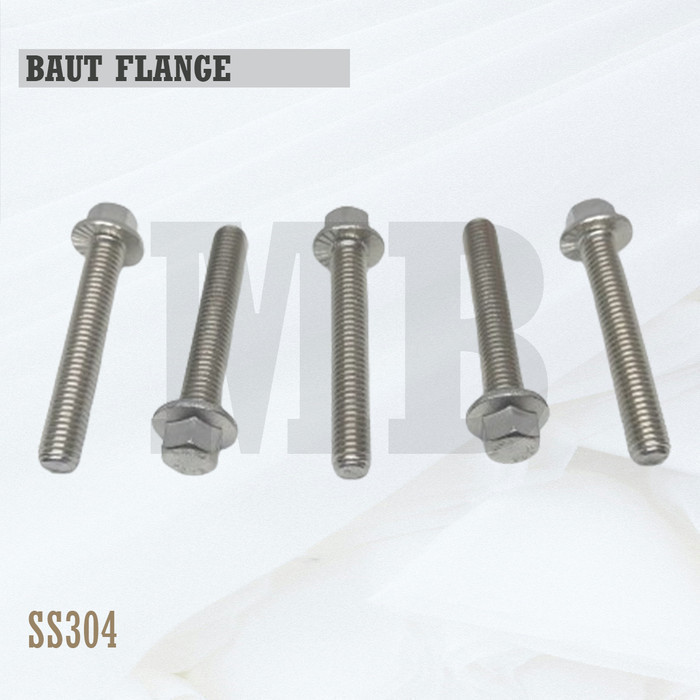 สลักหน้าแปลน M8X20 / ฝาครอบโบลท์ 8X20 / M8 X 20 / 8 X 20 Stainless SS304 / SUS304 / A2-70