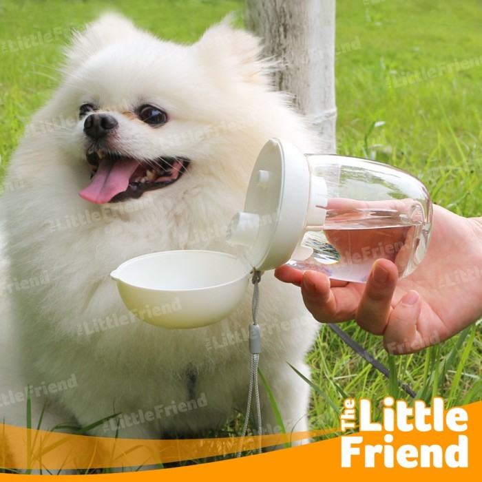 300Ml Outdoor Mushroom Travel Dog Cat Tumbler ขวดดื่มจัดส่งฟรีส่วนลด