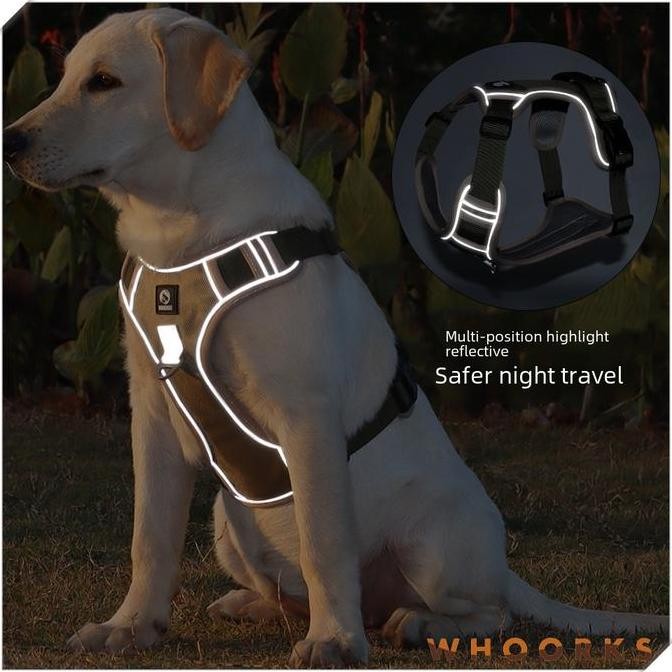 - [WHOORKS] PET DOG CAT HARNESS AKITA DOG CAT LEAD SMALL SIZE MEDIUM JUMBO LARGE2 AKITA