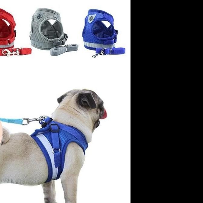 Rolfe Harness - Pet Cat Dog / Leash Necklace Dog Cat Animal LM99