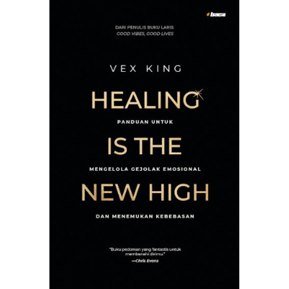 Healing Is The New High โดย Vex King