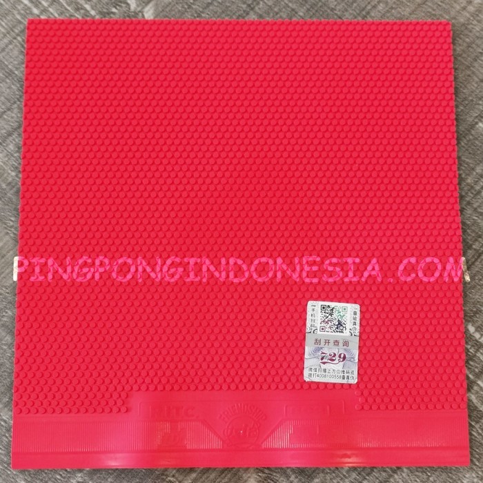 729 802-Serang Ritc Friendship Short Pips Rubber Pingpong