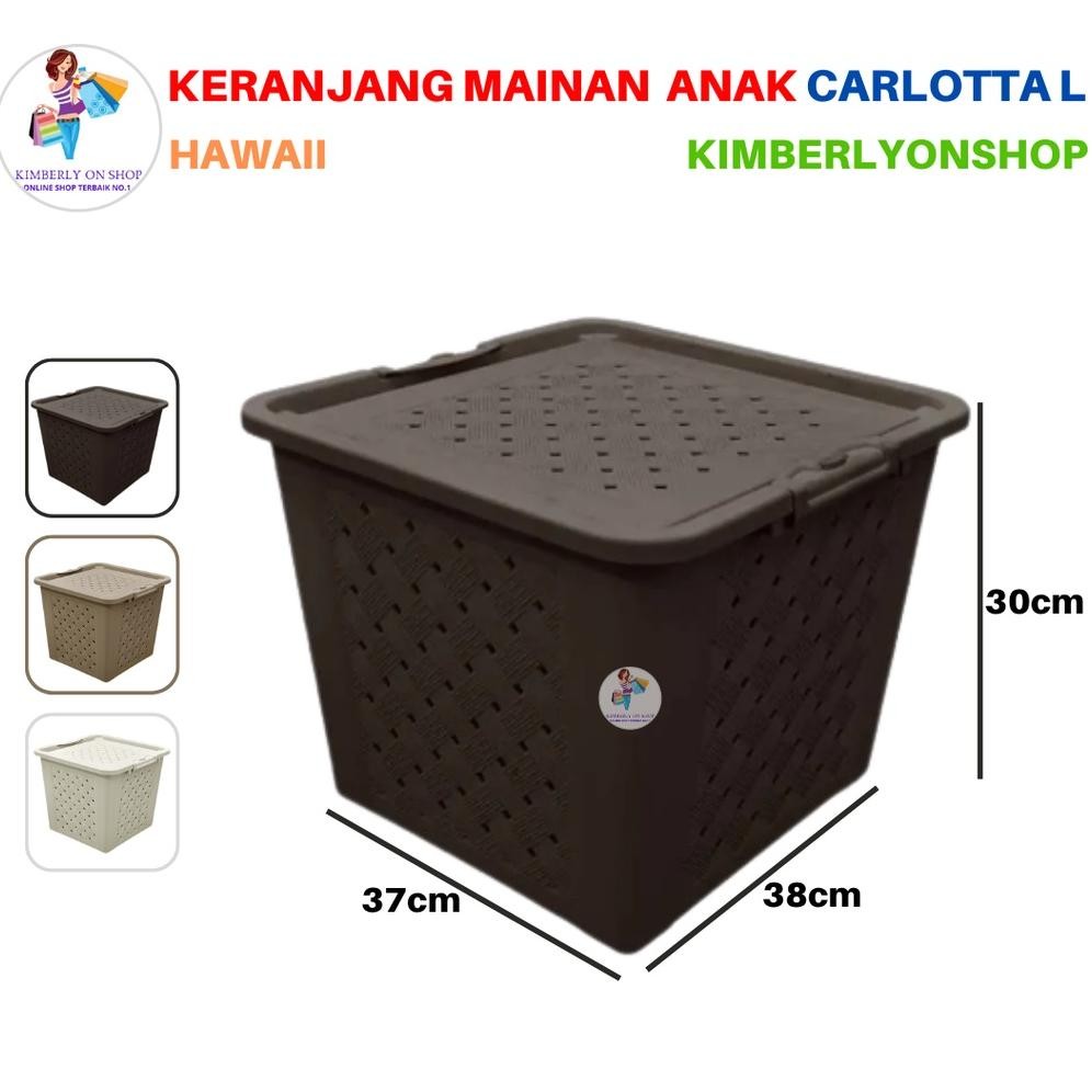 Carlotta L 6502 Hawaii Viral ตะกร้าอเนกประสงค์พร้อมฝาปิด