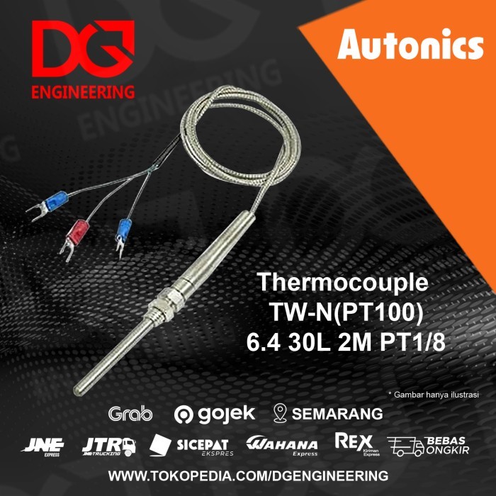 Autonics Thermocouple Tw-N(Pt100) 6.4*30L*2M*Pt1/8