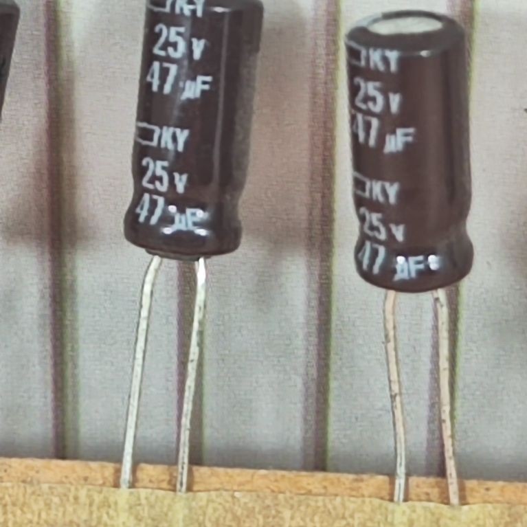 กวางเอลโก้ 47uf 25v เรย์แกน