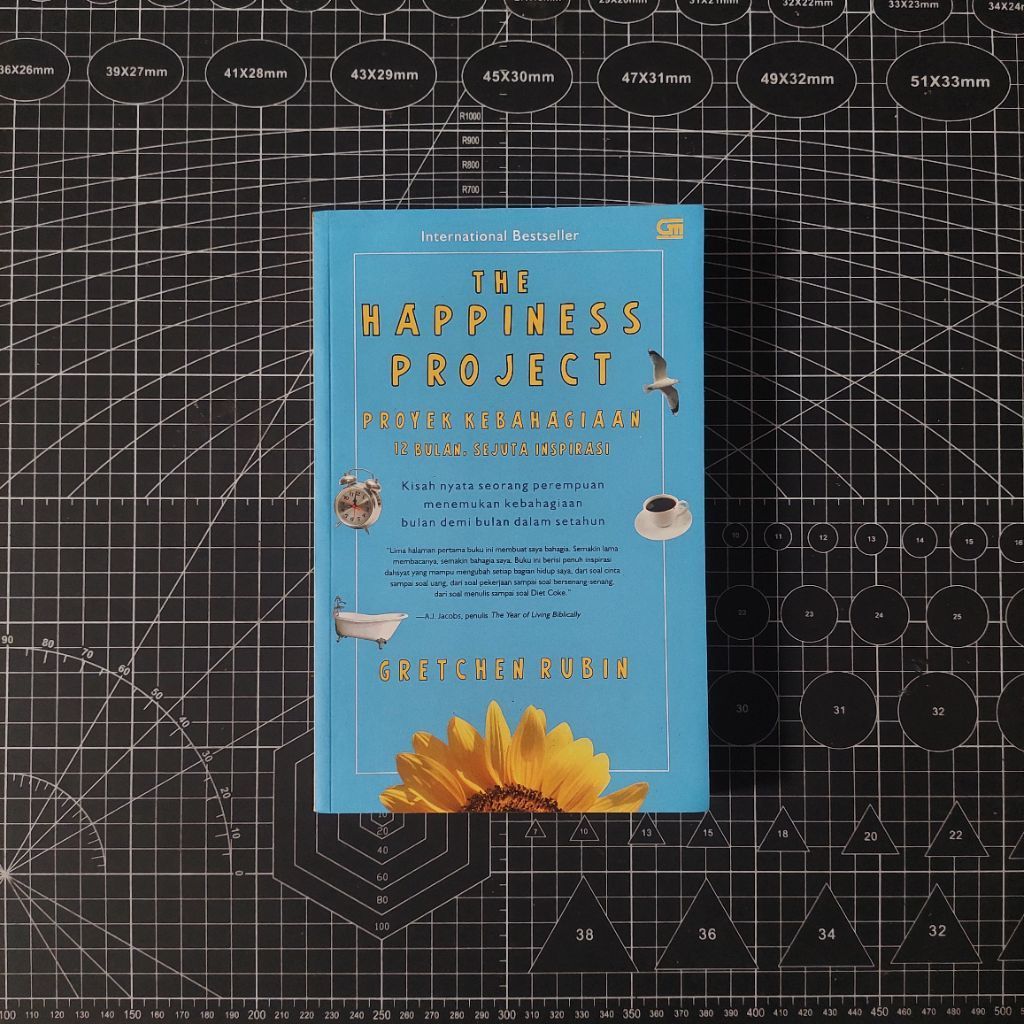 PRELOVED BOOK - หนังสือโครงการแห่งความสุข - Gregor Rubin