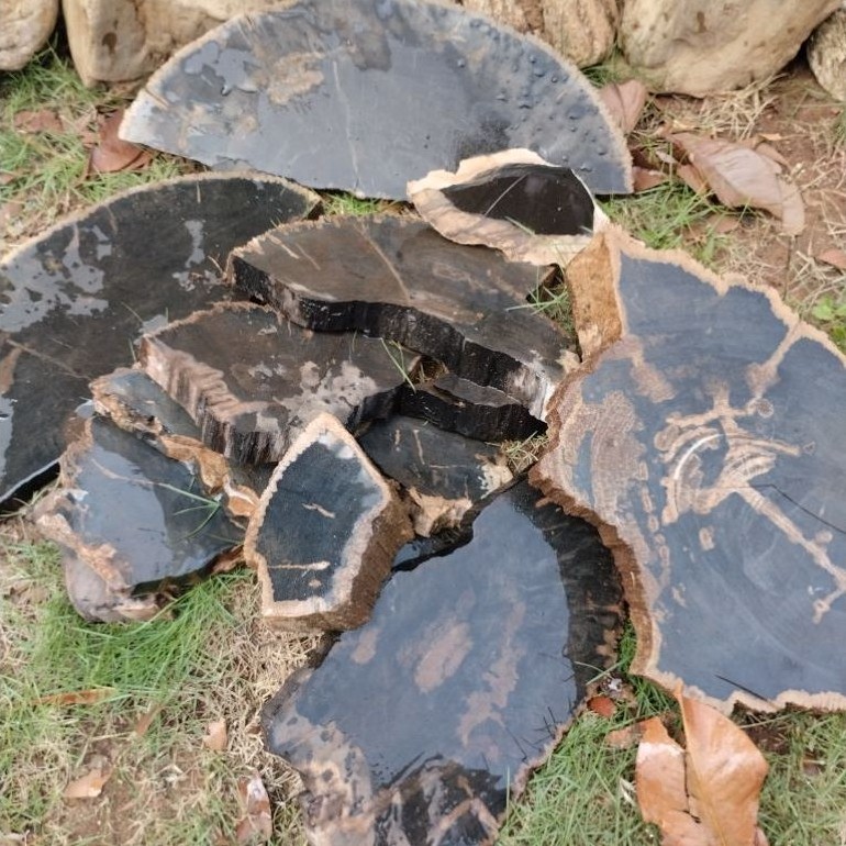 PETRIFIED WOOD FIBER STONE CUT/BROKEN ต่อ 1KG
