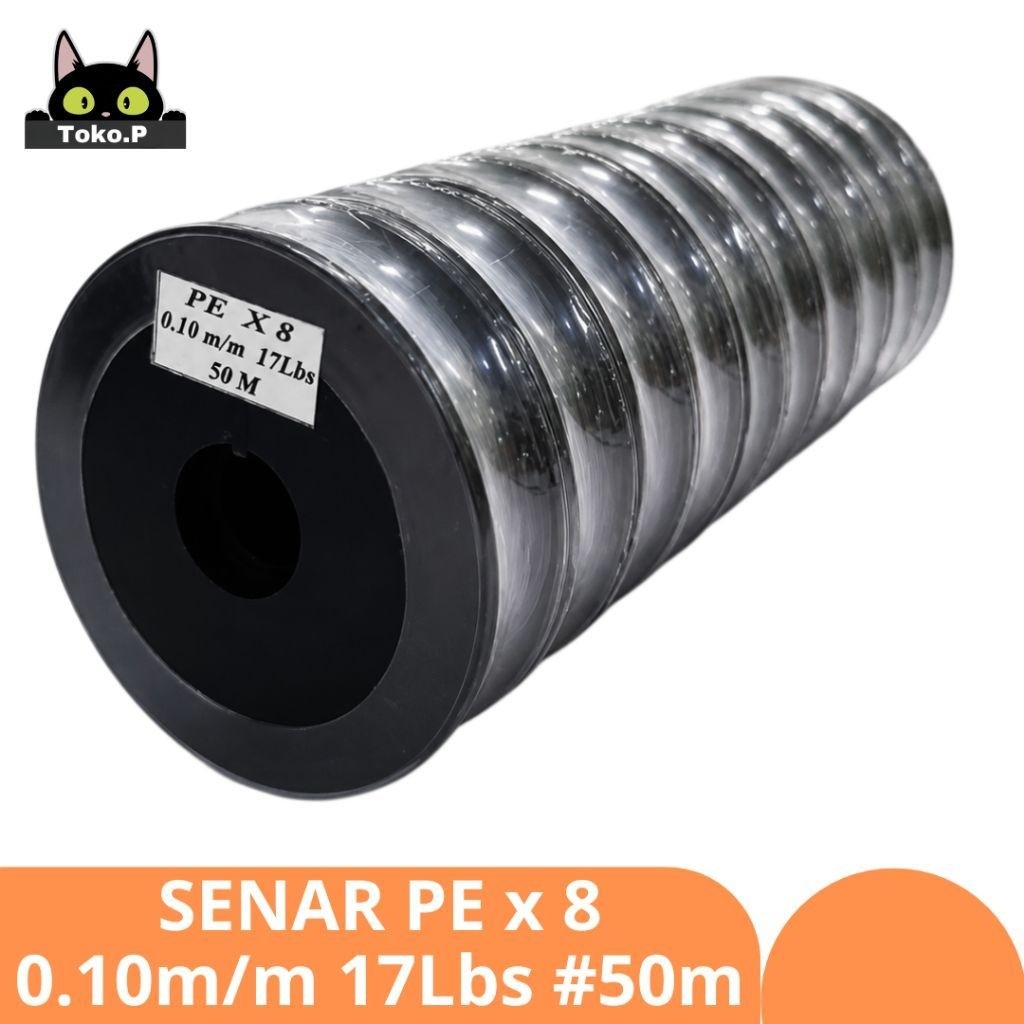 สายตกปลา PLAIN PE Sm V8 0.10Mm/17Lb