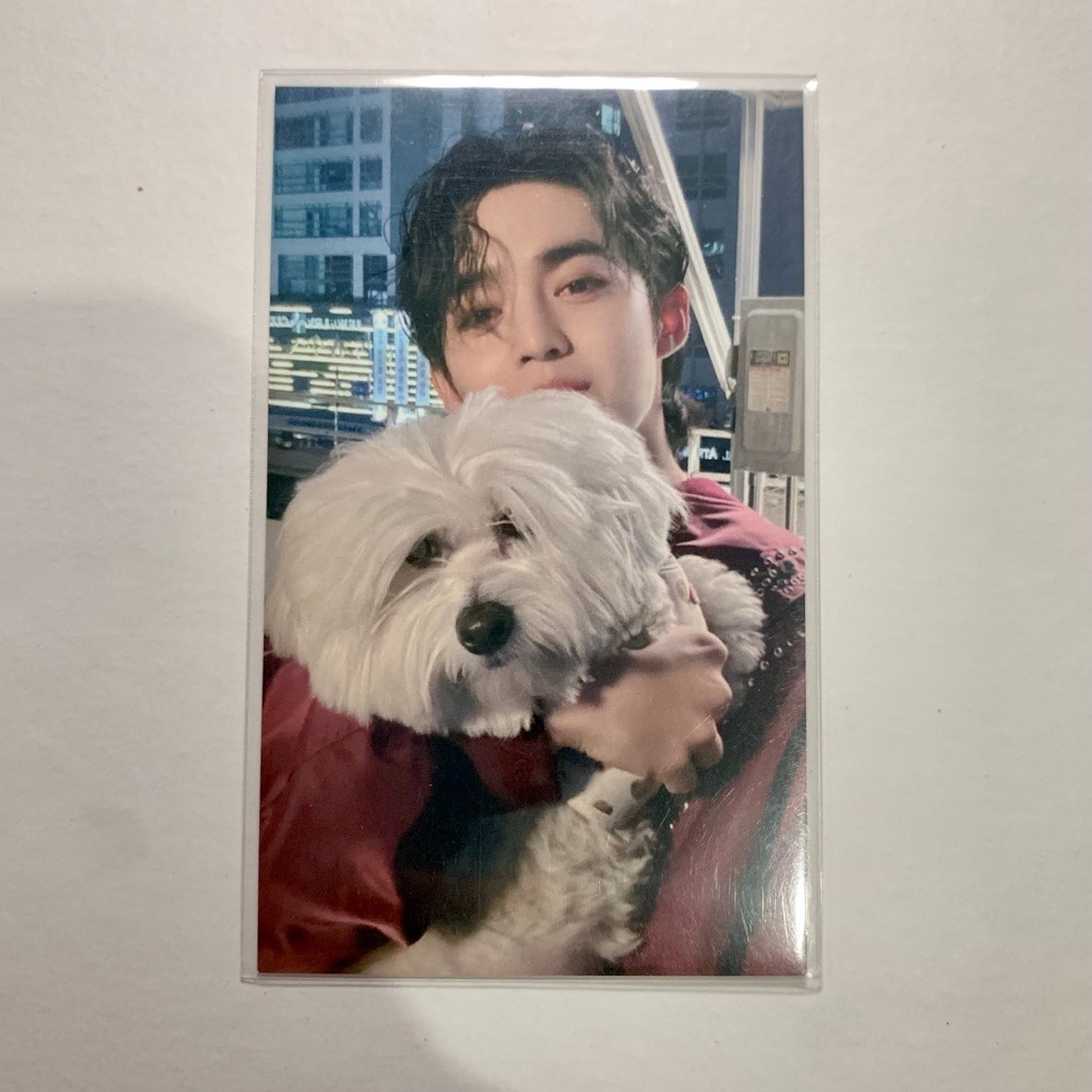 KKUMA UMS JP FML SCUPS PHOTOCARD