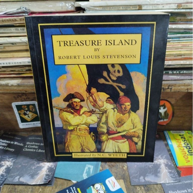Treasure Island โดย Robert Louis Steevenson (ภาพประกอบโดย NC Wyeth)