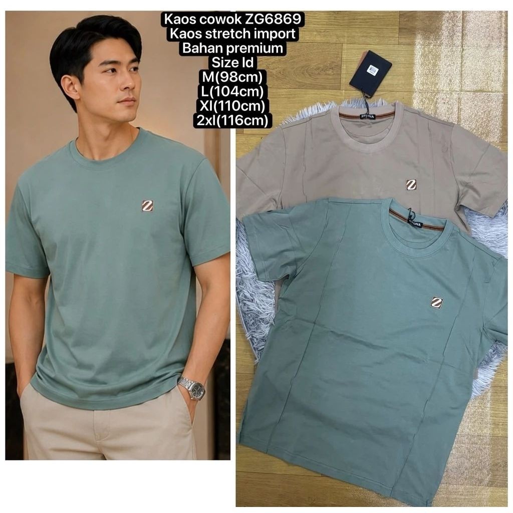 6869 - 6852 - 6863 - 6856 - 6866 - 6850 - 6858 เสื้อยืดผู้ชายนําเข้า