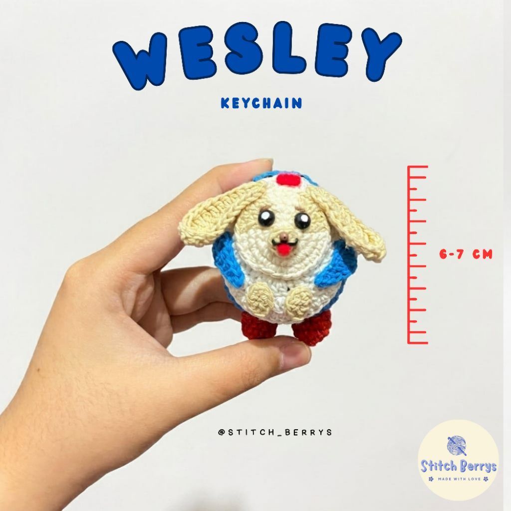 พวงกุญแจ GANTUNGAN Wesley amigurumi| พวงกุญแจมาสคอต GMMTV WilliamEst |โครเชต์แฮนด์เมด|ไม้แขวนถัก