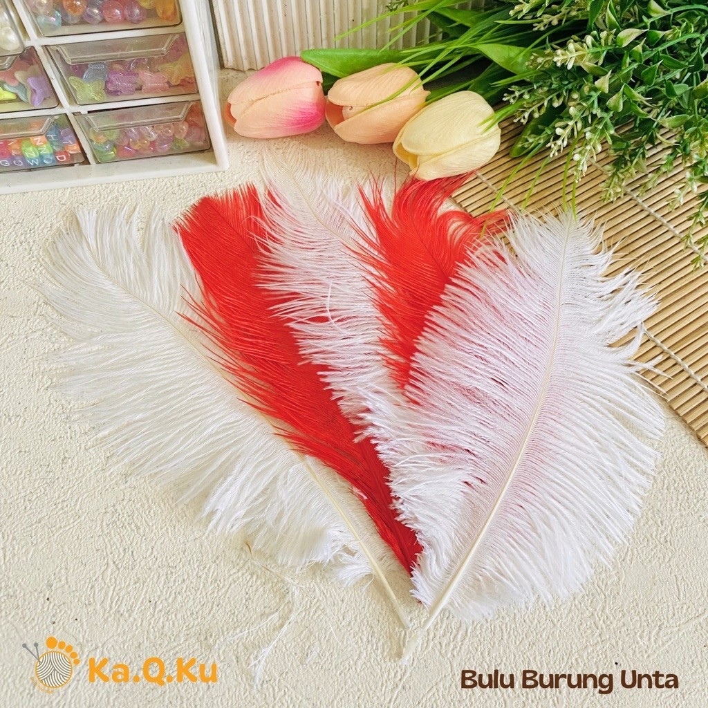 MERAH ชิ้นสีแดงและสีขาว CAMEL BIRD FEATHERS / OSTRICH FEATHERS / FEATHERS