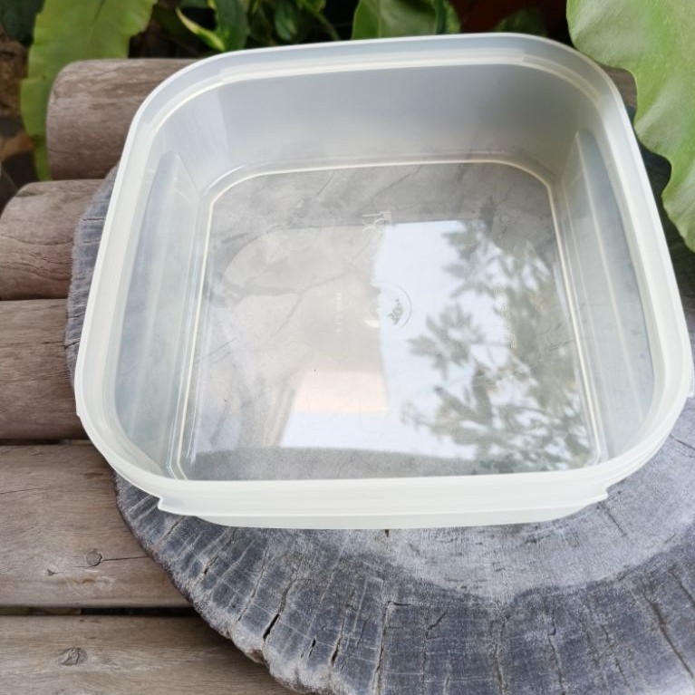 ตื่นเต้น! TUPPERWARE NEW - Tupperware MM Square 1 - ฐานเท่านั้น