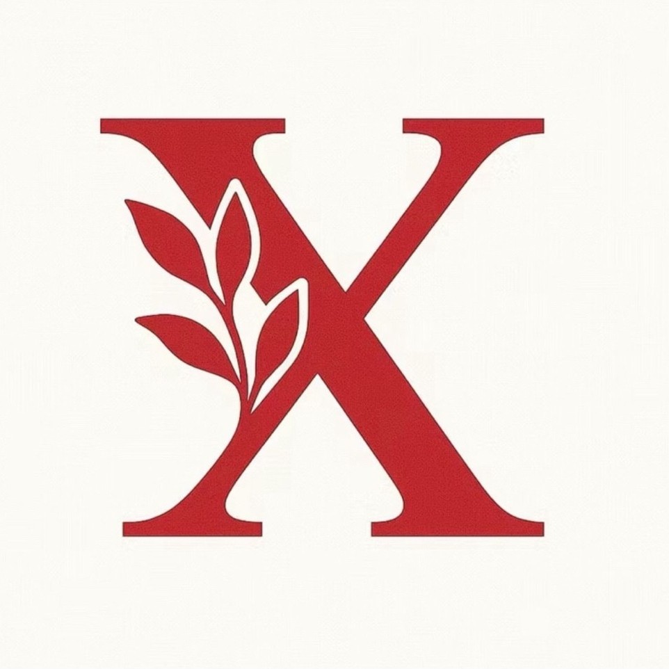 CODE X (13 SEPEMBER 2026)