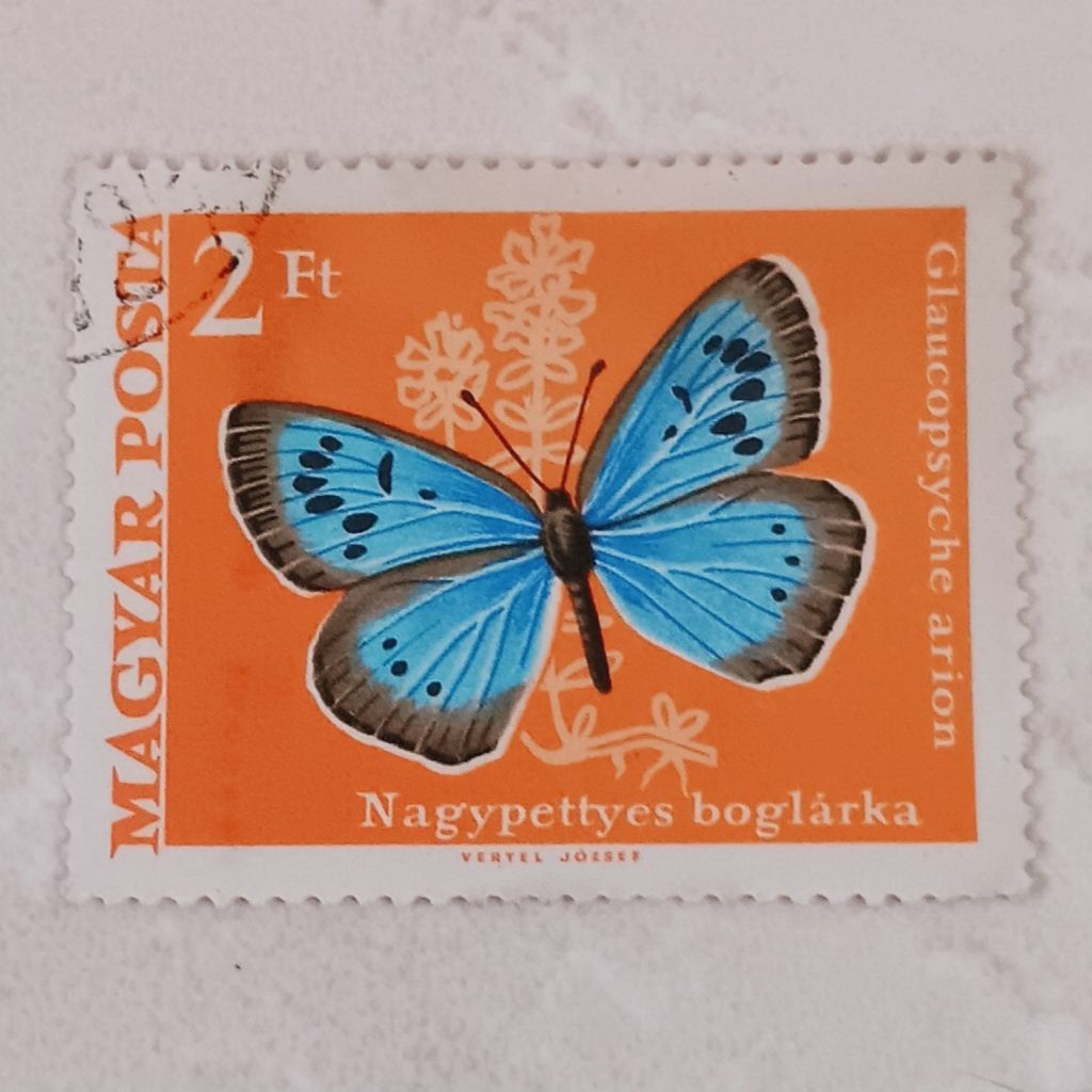 (OG) Hongaria 1969 Butterflaies Stamps (1969) - Large Blue (Glaucopsyche arion) 2 forint CTO