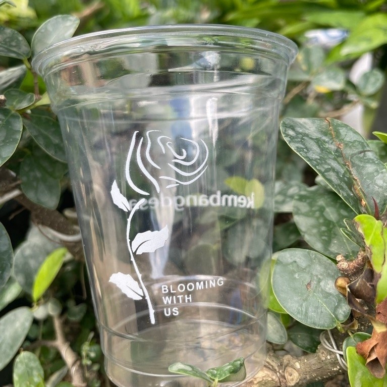 12/14oz pet Cup ไม่มีฝา