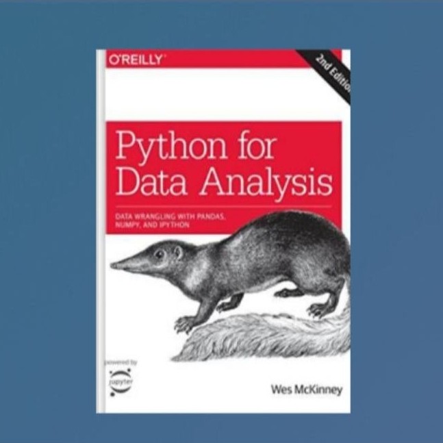 Python for Data Analysis: Data Wrangler with Pandas, NumPy