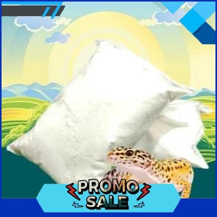 กําลังมาแรง DOLOMIT 1 KG - Dolomite Gecko Cage Liner Leopard Gecko Reptile Dollmite มะนาวแคลเซียมสัต