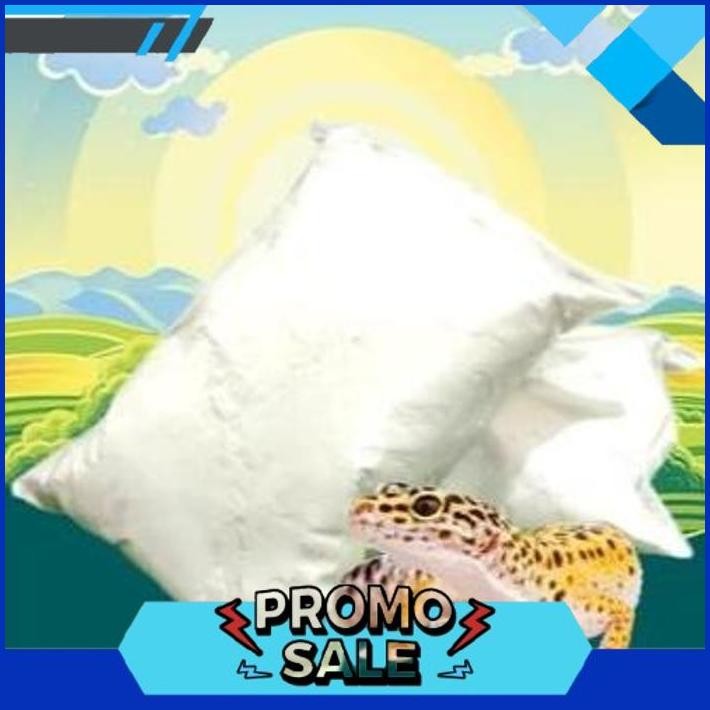 SMILE TODAY DOLOMIT 1 KG - Dolomite Gecko Cage Liner Leopard Gecko Reptile Dollmite มะนาวแคลเซียมสัต