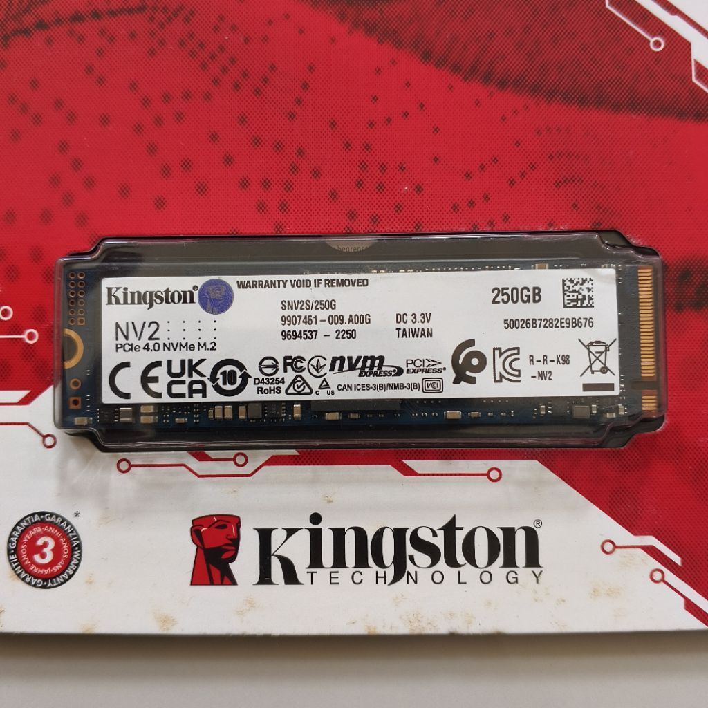 Kingston 250 GB M.2 NVME SSD