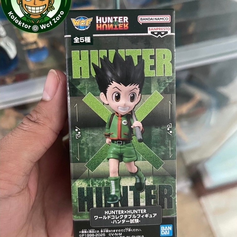 WCF GON HUNTER X HUNTER