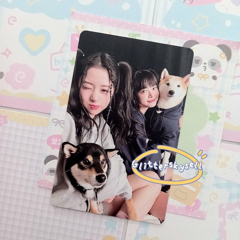 [Ready] Le Sserafim Unforgiven Antifragile photocard อย่างเป็นทางการ Chawon Yunjin Eunchae Unit Kazu