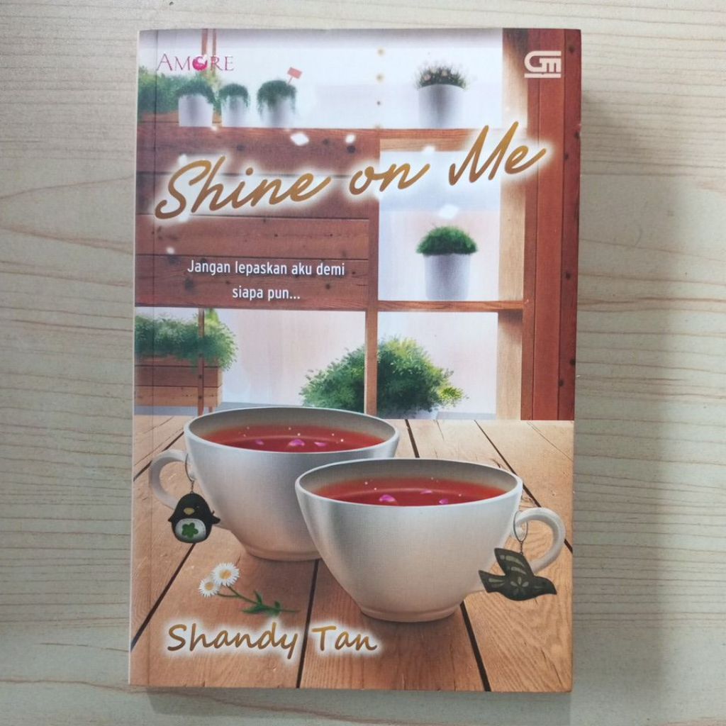 SHINE ON ME NOVEL BY SHANDY TAN