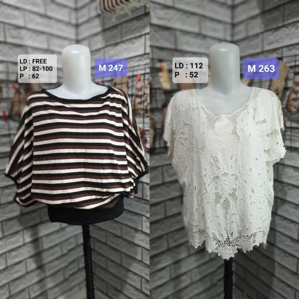 เสื้อเชิ้ตผู้หญิง M 247 & M 263