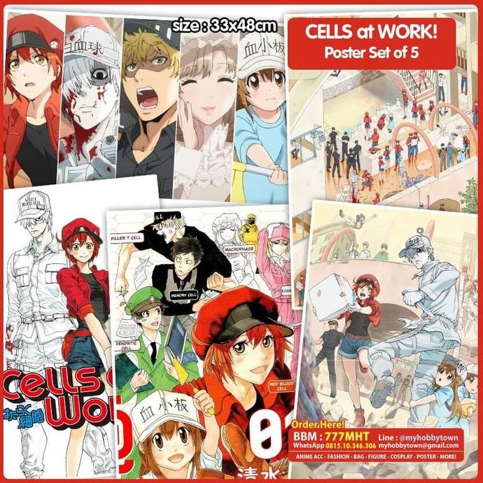 โปสเตอร์อนิเมะ Hataraku Saibou - Cells At Work Set 5 ชิ้น