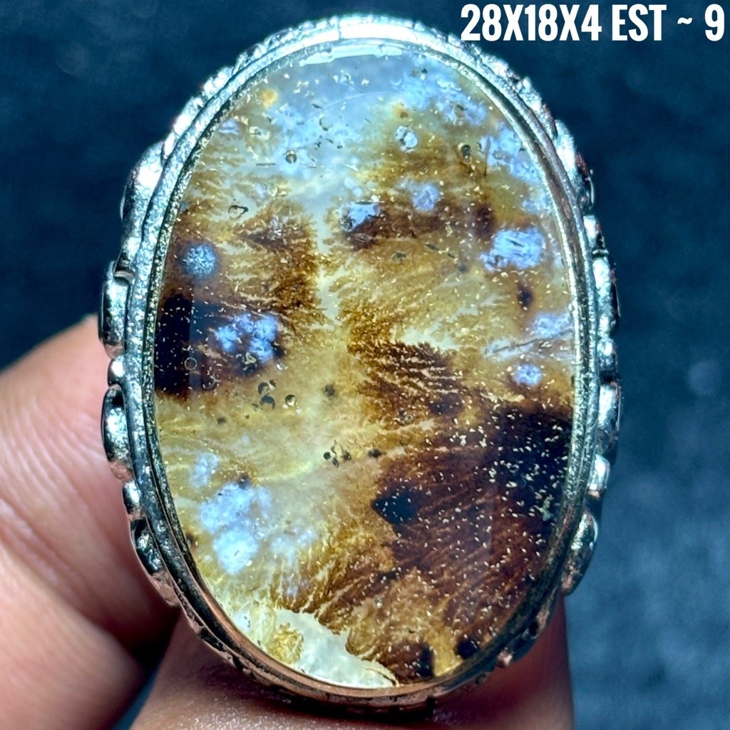 NATURAL DENDRIT AGATE STONE