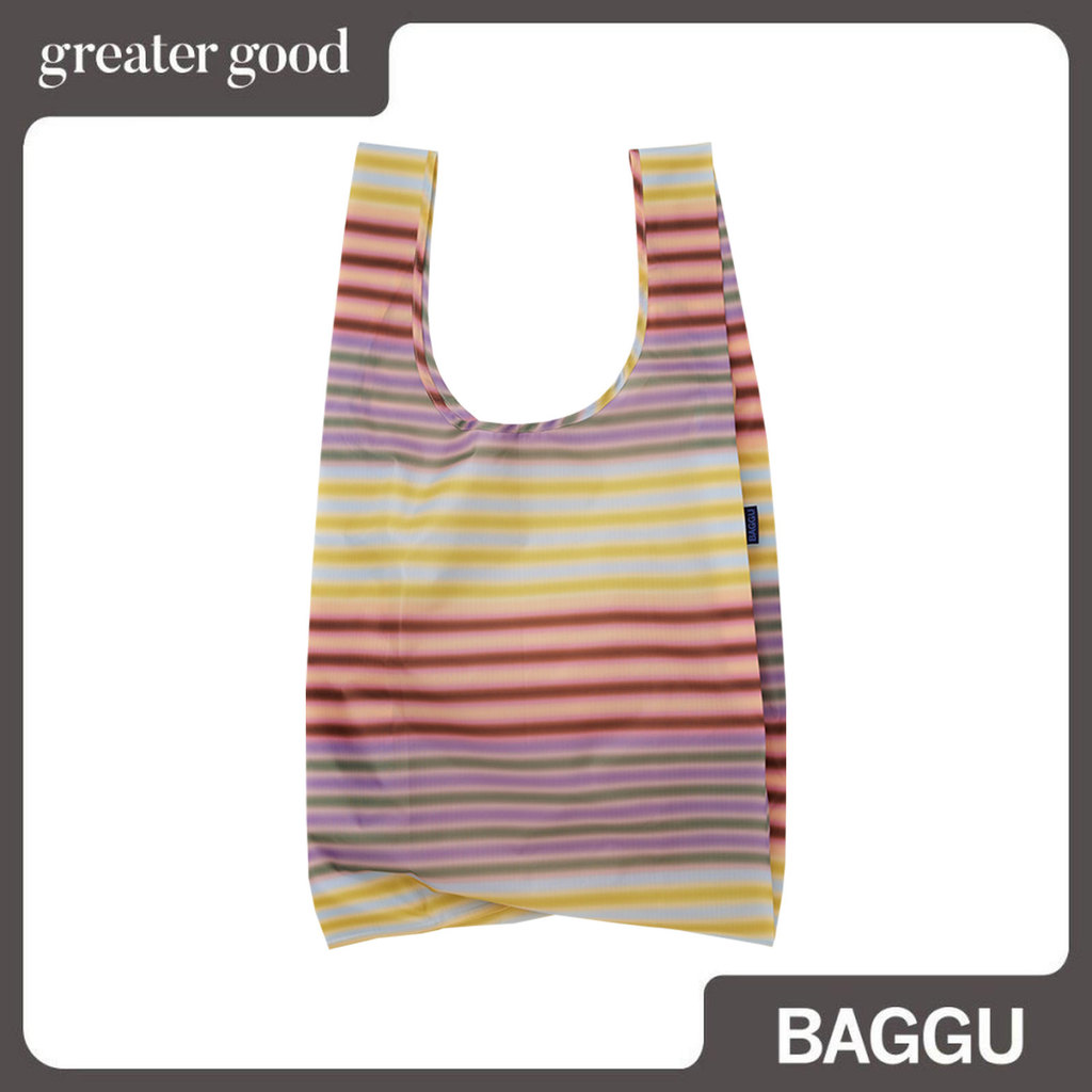 Baggu - Big Baggu in Gradient Stripe Multi