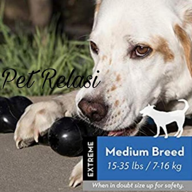 Kong Extreme Goodie Bone ของเล่นกัดสุนัขขนาดกลาง 10012