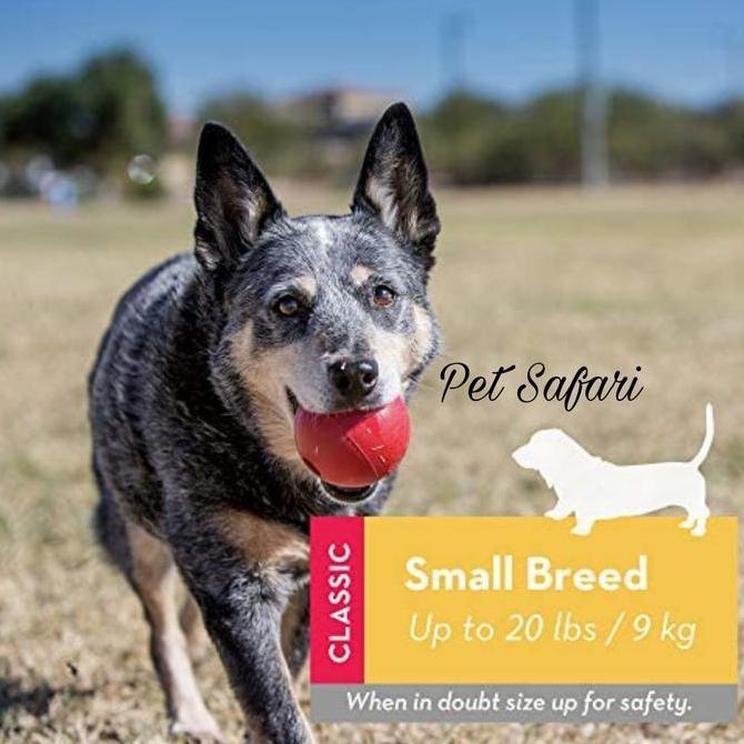 ของเล่นสุนัข Kong Ball Small Kb2 Kong ของเล่นสุนัข / กัด - แท่งสุนัข