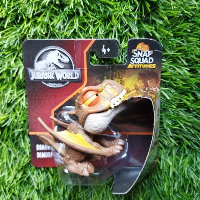 Snap squad ทัศนคติ dimmorphodon