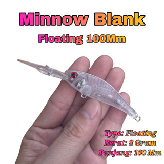 Minnow ลูกตาเปล่า แบบลอยน้ํา 100 มม. 8 กรัม