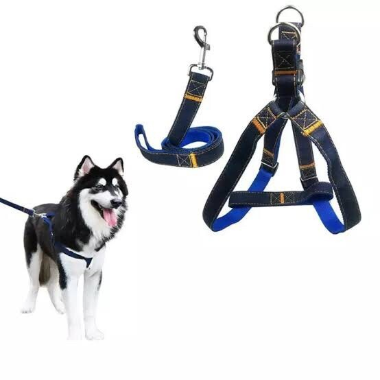 Herness Denim / สายจูงสุนัขผ้ายีนส์ / สายรัดสุนัข