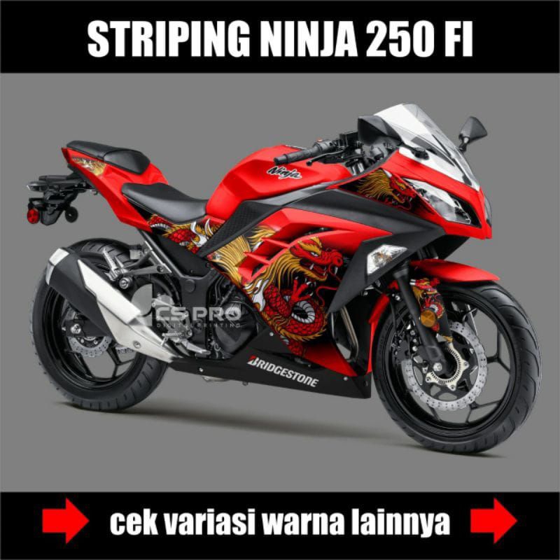 Ninja 250 Fi Striping Sticker / Ninja 250 Fi Motorcycle Variation Sticker Body Trim