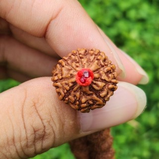 Japamala mukhi 9th Contents 108