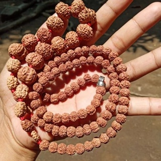 Mala rudraksha mukhi mukhi 1-mukhi 10