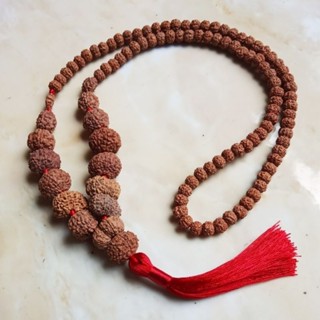 Mala rudraksha mukhi 1st mukhi - mukhi 10th