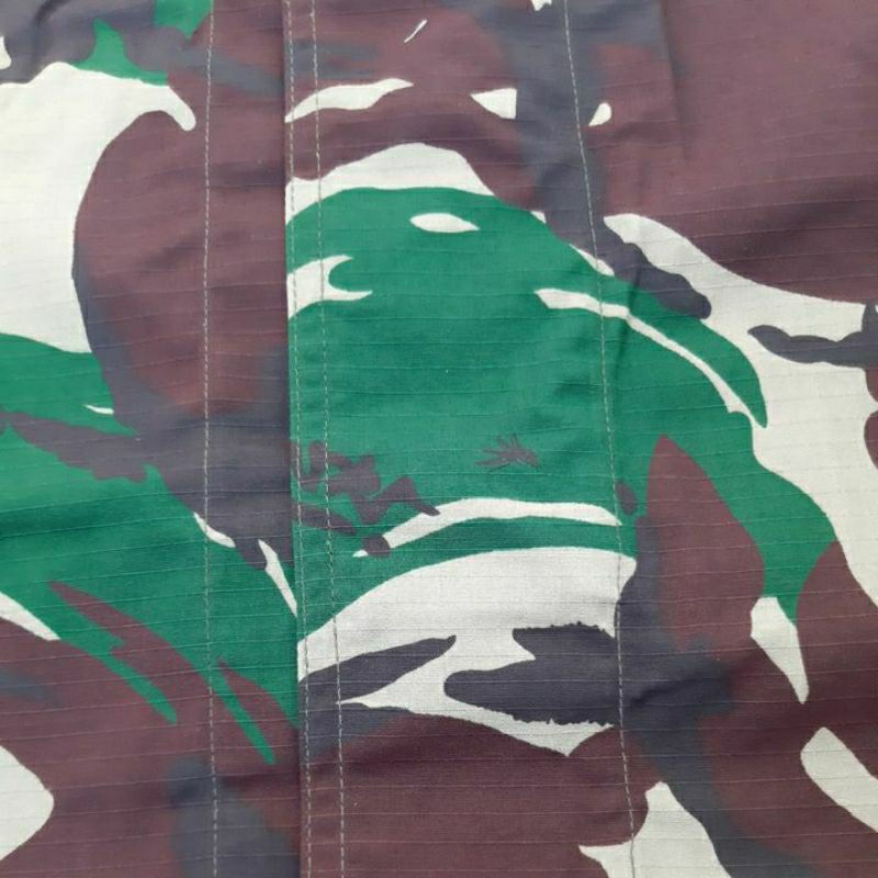 ยุงดั้งเดิม PDL quota