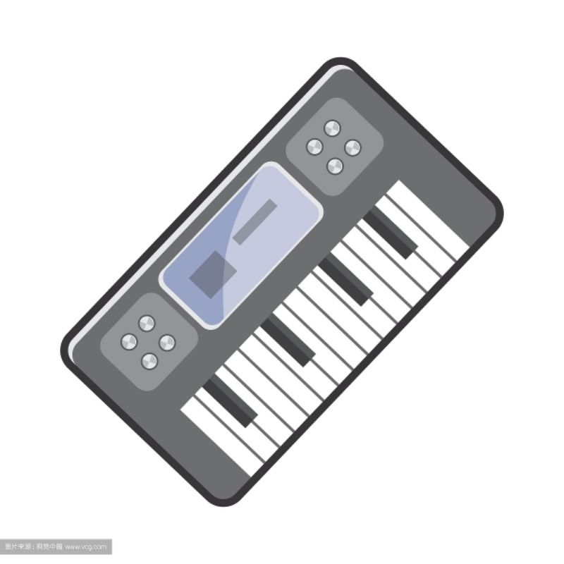 ROLAND RD-88 GIGBAG*