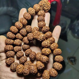 Japamala rudraksha mukhi 7th original mukhi 7th