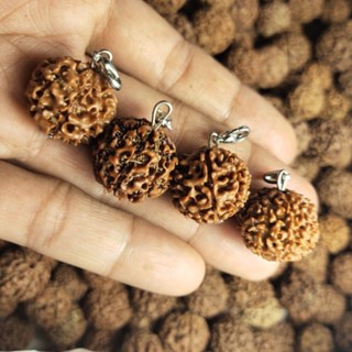 จี้รูป Rudraksha mukhi 7th