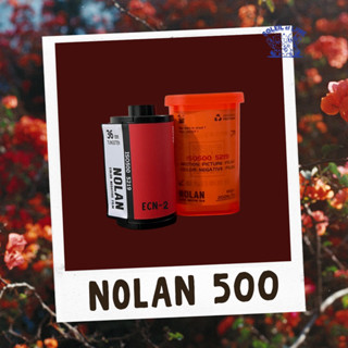 ฟิล์มม้วน Nolan 500 - ฟิล์มม้วน 35 มม., ISO 500, 36exp