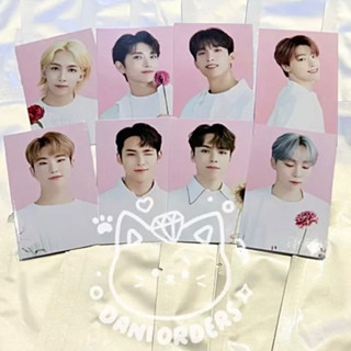 [พร้อมส่ง] 🇷 ] Seventeen CAFE Benefit in Seoul Special Goods/Merchandise - โฟโต้การ์ด อาหาร/เครื่องดื่ม ของขวัญ TC