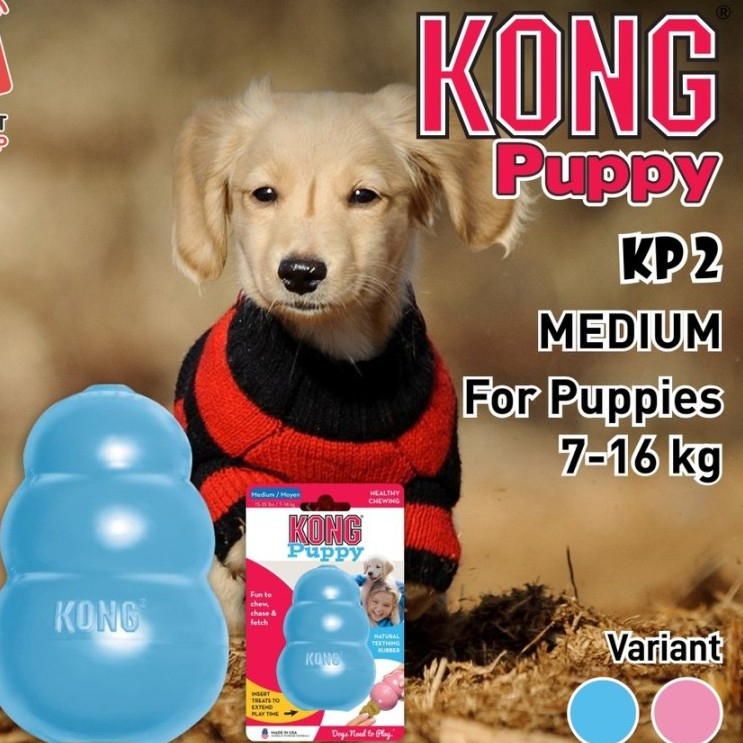 KP2 Kong Puppy MEDIUM Dog Toy - Kong KP2 Dog Bite Toy - ของเล่นสัตว์เลี้ยง