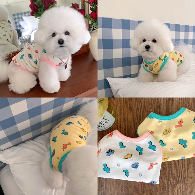 เสื้อยืด Zeze din korea