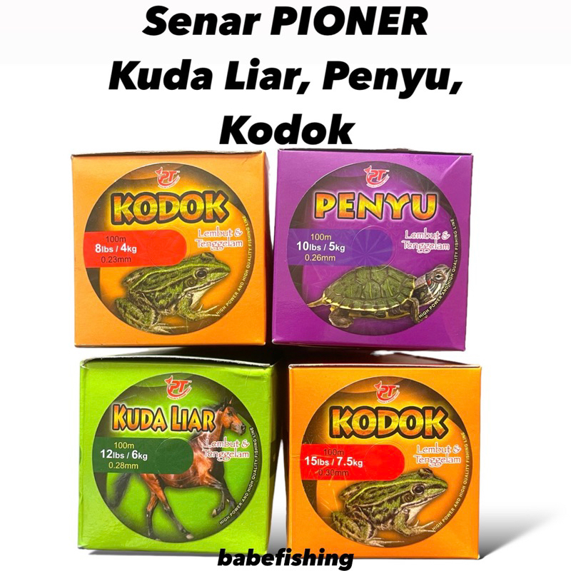 PIONER เต่า/กบ/สายม้าป่า 100M | 8lbs 10lbs 12lbs 15lbs